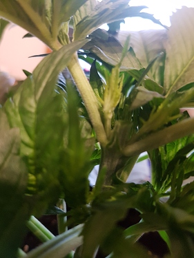 Growreport Bild 14
