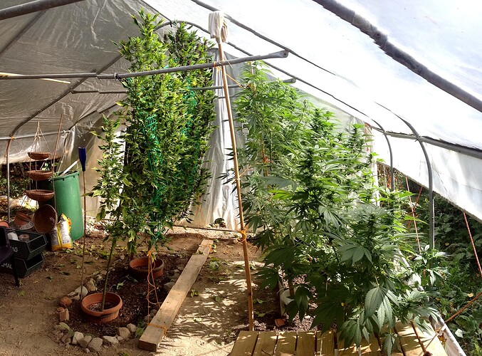 Growreport Bild 13