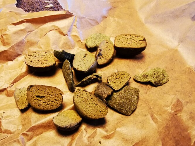 Growreport Bild 5