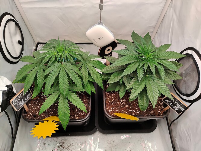 Growreport Bild 5