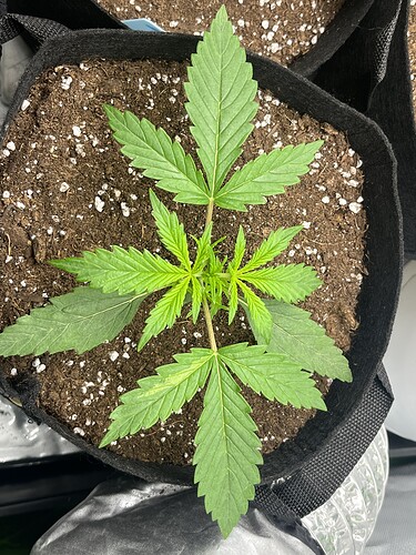 Growreport Bild 20