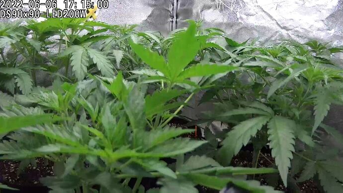 Growreport Bild 5