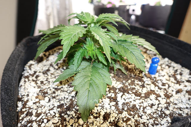 Growreport Bild 11