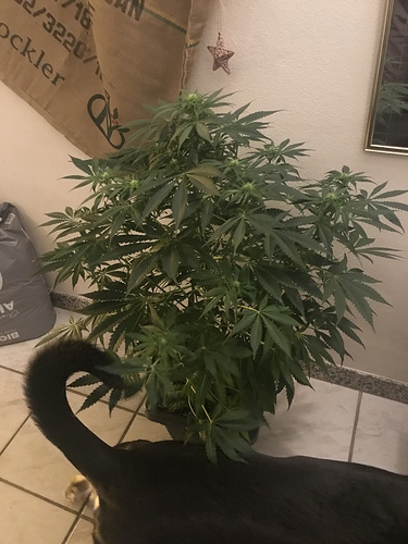 Growreport Bild 5