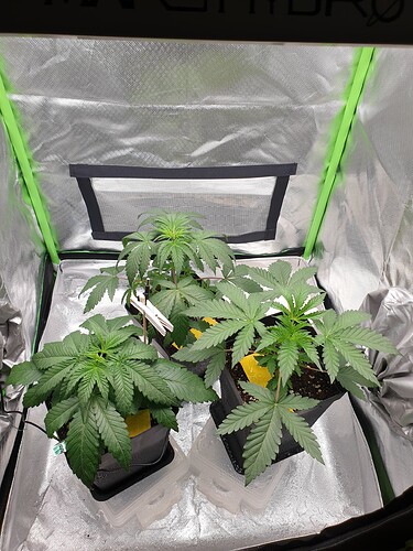 Growreport Bild 5