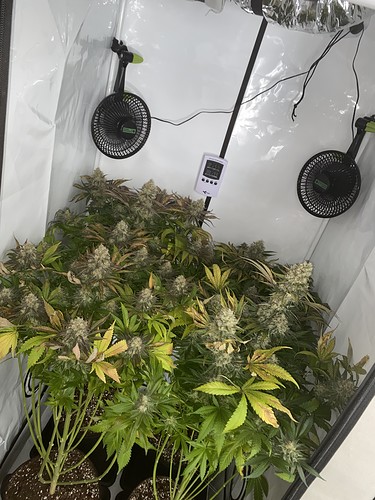 Growreport Bild 5