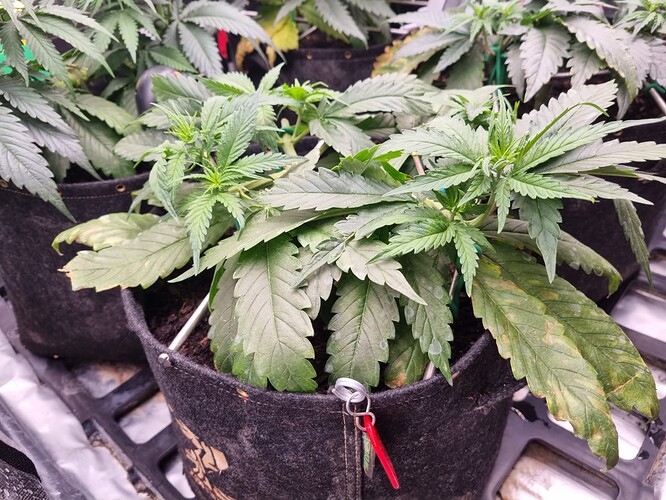 Growreport Bild 14