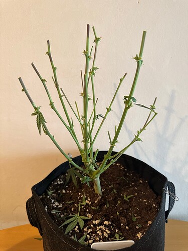 Growreport Bild 22