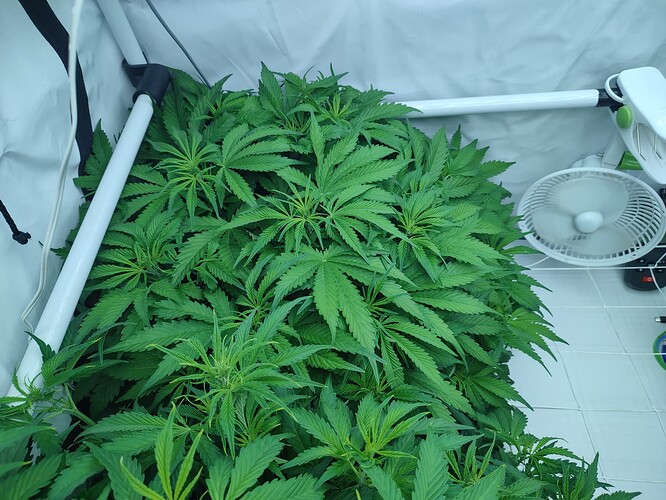 Growreport Bild 26