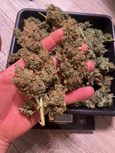 Growreport Bild 2