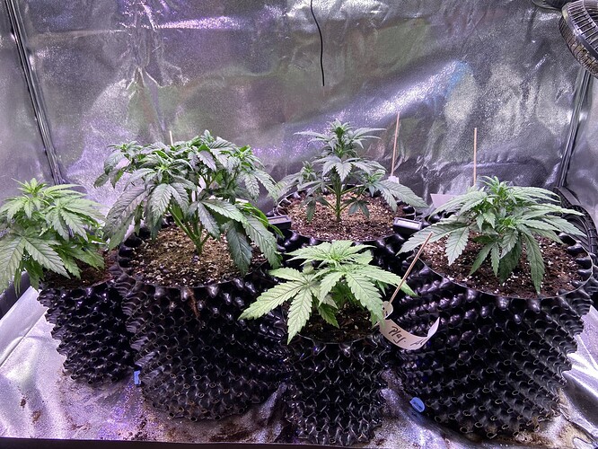 Growreport Bild 14