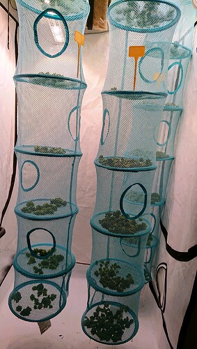 Growreport Bild 12