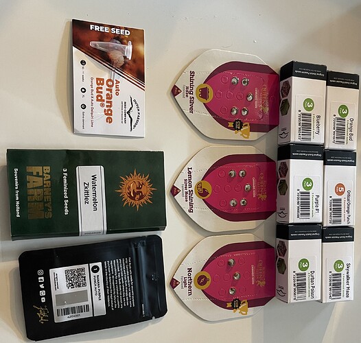 Growreport Bild 3