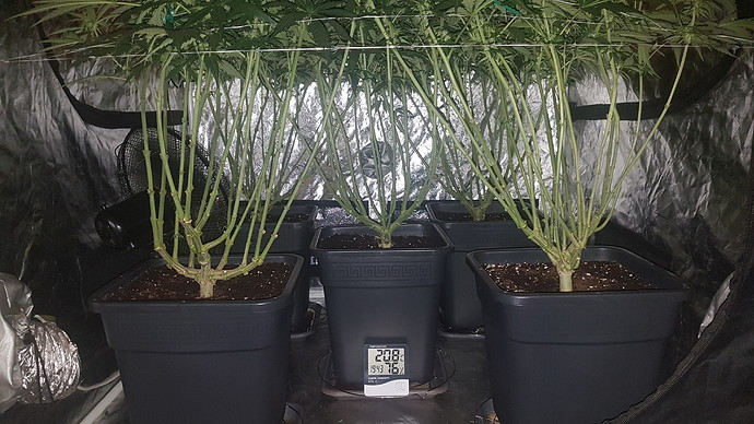 Growreport Bild 8