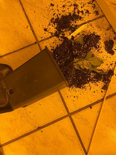 Growreport Bild 24