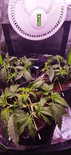 Growreport Bild 10