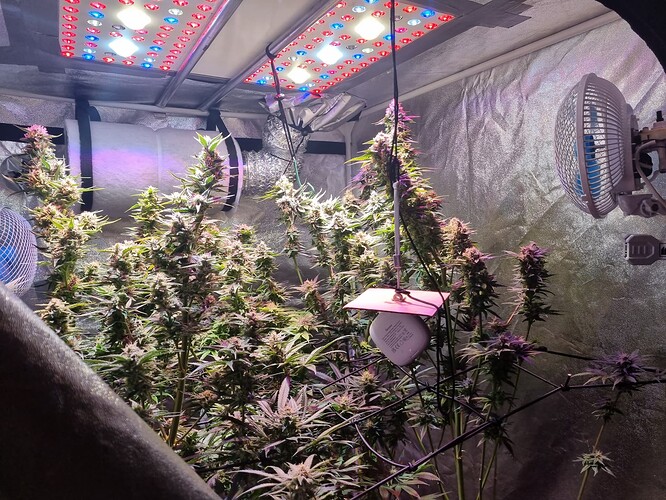 Growreport Bild 18