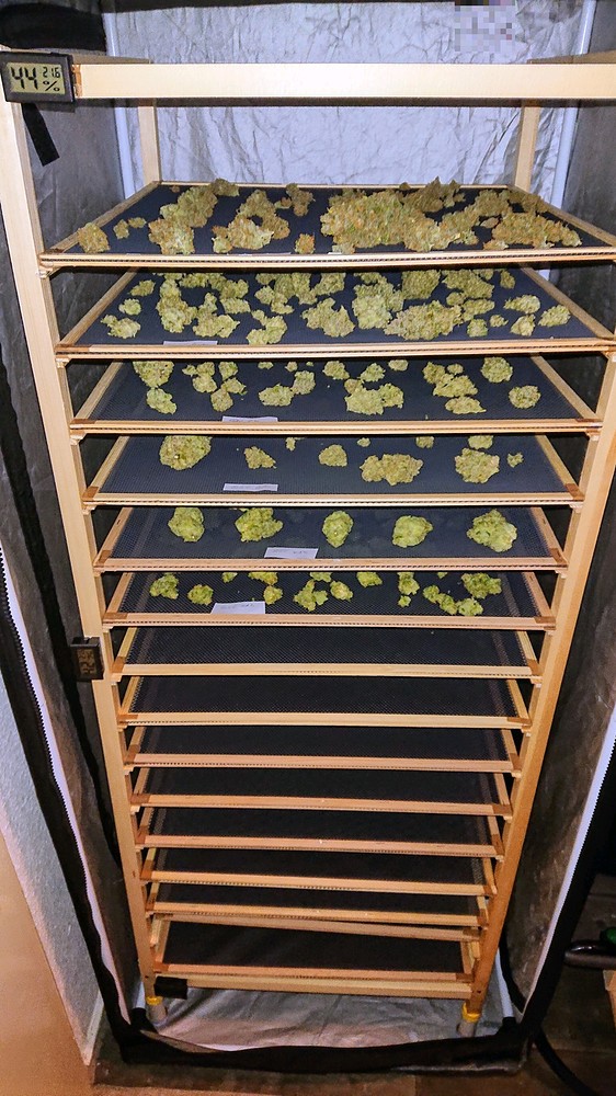 Fette Bande Gartenbau Grow Journal
