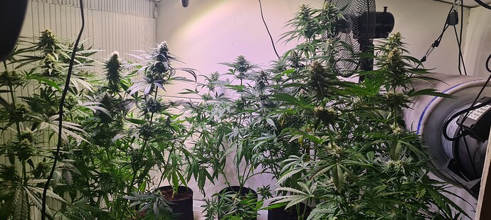 Growreport Bild 3