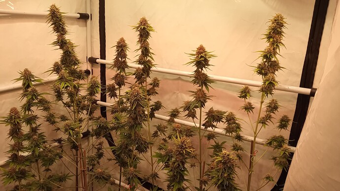 Growreport Bild 8