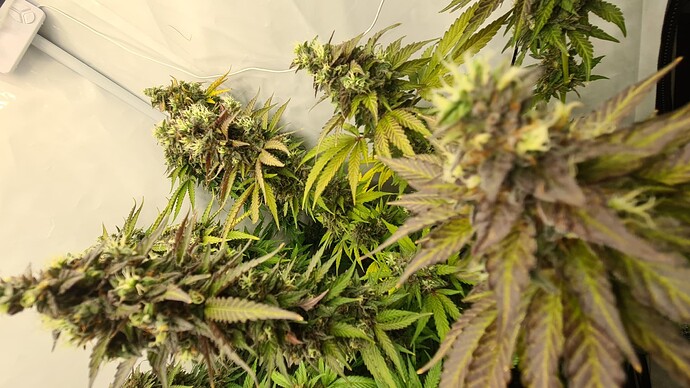 Growreport Bild 21