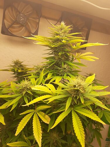 Growreport Bild 13