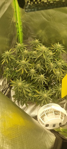 Growreport Bild 18