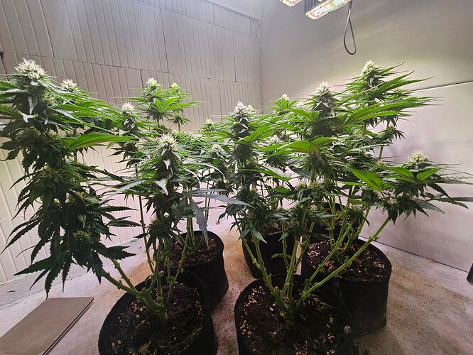 Growreport Bild 20