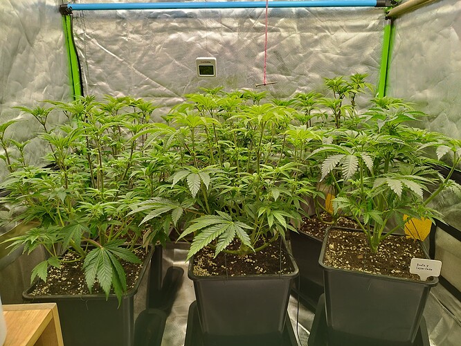 Growreport Bild 11