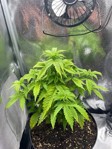 Growreport Bild 12