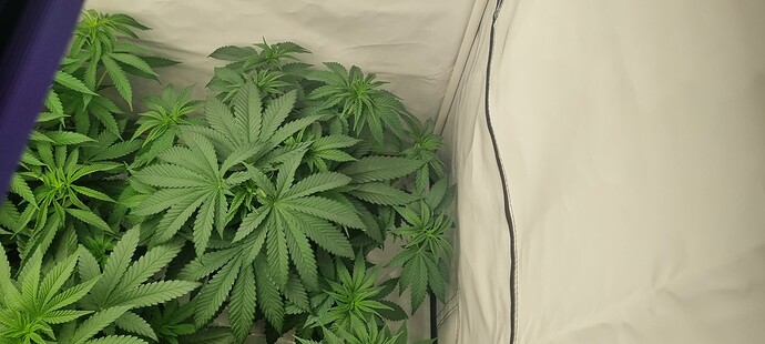 Growreport Bild 13