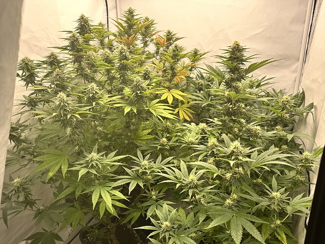 Growreport Bild 13