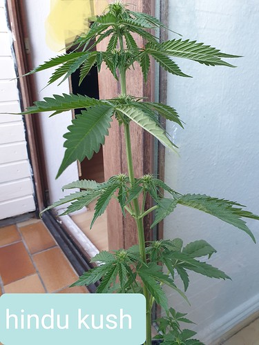 Growreport Bild 7
