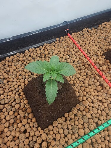 Growreport Bild 26