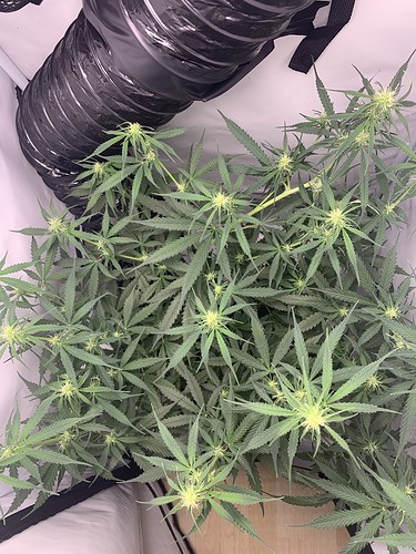 Growreport Bild 23