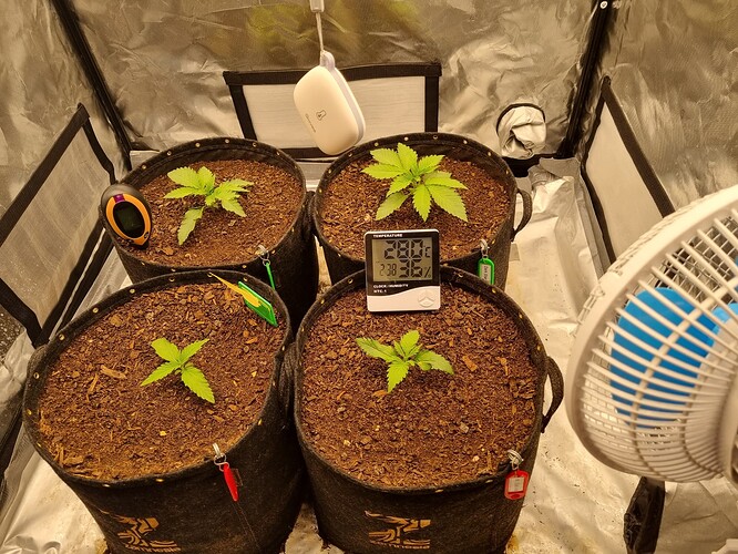 Growreport Bild 46