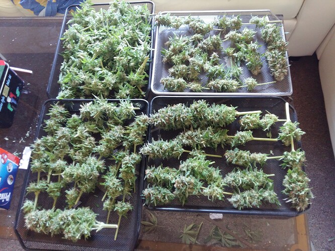 Growreport Bild 34