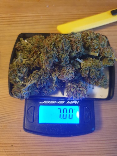 Growreport Bild 10