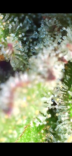 Growreport Bild 17