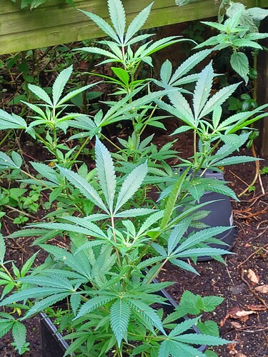 Growreport Bild 10