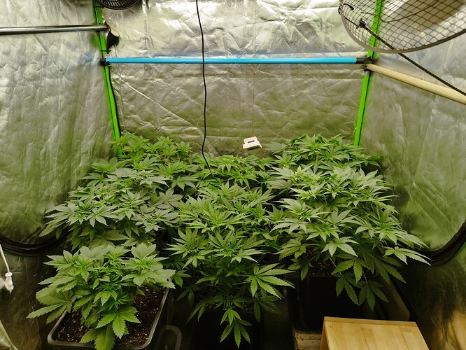 Growreport Bild 13