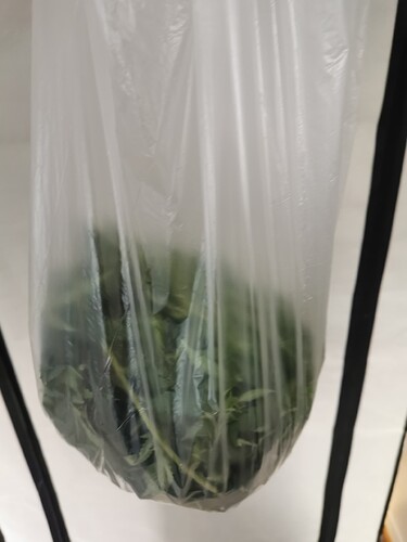 Growreport Bild 1