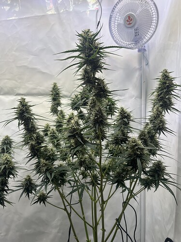 Growreport Bild 8