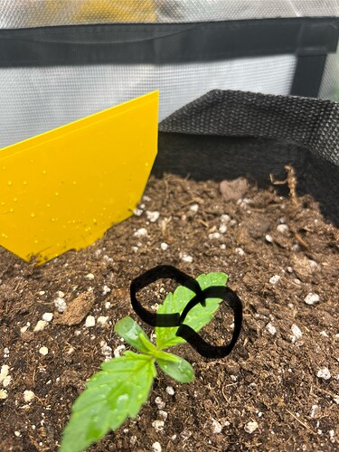 Growreport Bild 6