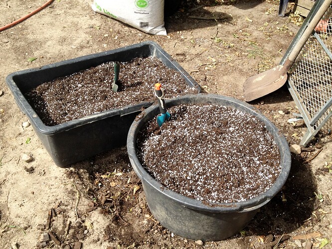 074_FastBudsZeltTag1_01