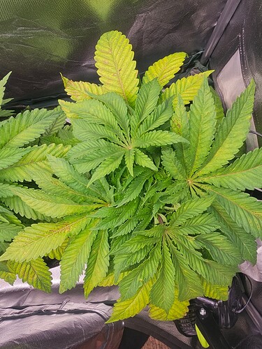 Growreport Bild 11