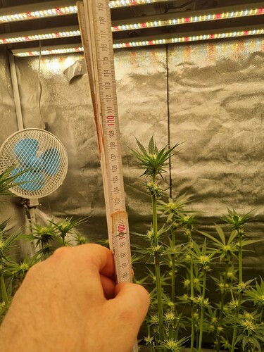 Growreport Bild 21