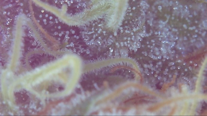 Growreport Bild 8