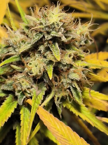 Growreport Bild 10
