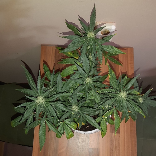 Growreport Bild 14